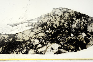 Plane Polarized, S89643