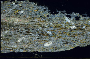 Cross Polarized, S89644