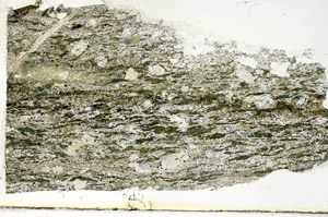 Plane Polarized, S89644