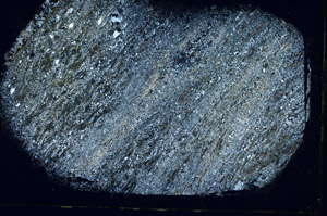 Cross Polarized, S89645