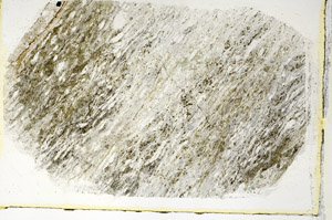 Plane Polarized, S89645