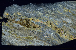 Cross Polarized, S89646