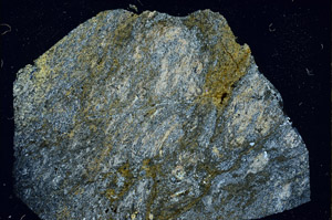 Cross Polarized, S89647