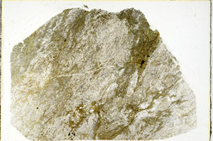 Plane Polarized, S89647