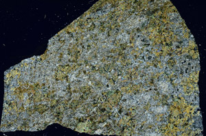 Cross Polarized, S89648