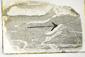 Plane Polarized, S89649