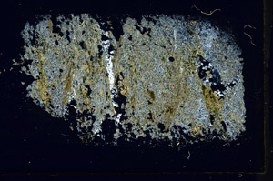 Cross Polarized, S89651