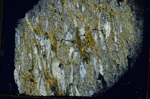 Cross Polarized, S89652