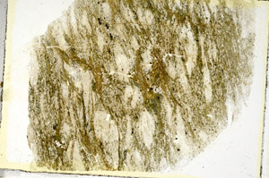 Plane Polarized, S89652
