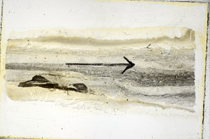 Plane Polarized, S89653