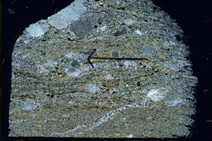 Cross Polarized, S89654