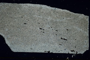 Cross Polarized, S89655