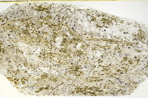 Plane Polarized, S89656
