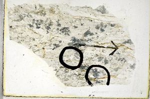 Plane Polarized, S89659