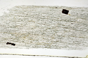 Plane Polarized, S89664
