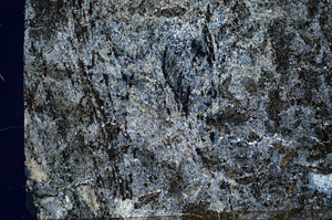 Cross Polarized, S89666