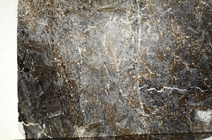 Plane Polarized, S89666
