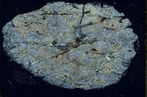 Cross Polarized, S89669