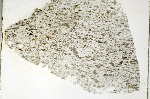 Plane Polarized, S89670