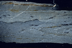 Cross Polarized, S89671