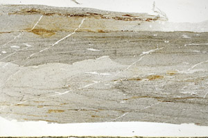 Plane Polarized, S89671
