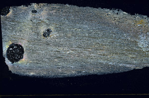 Cross Polarized, S89672