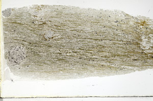 Plane Polarized, S89672