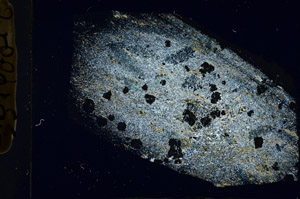 Cross Polarized, S89673