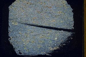 Cross Polarized, S89674