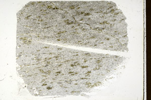 Plane Polarized, S89674