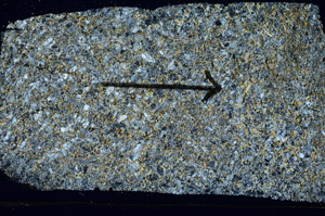 Cross Polarized, S89675