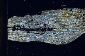 Cross Polarized, S89676