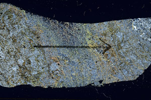 Cross Polarized, S89677