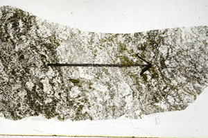 Plane Polarized, S89677