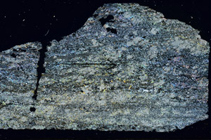 Cross Polarized, S89680