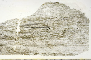 Plane Polarized, S89680