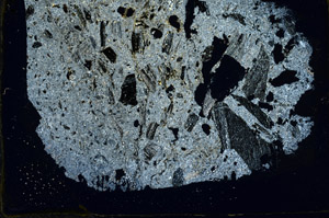 Cross Polarized, S89681