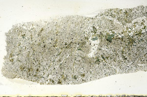 Plane Polarized, S89682