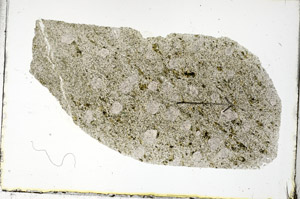 Plane Polarized, S89683
