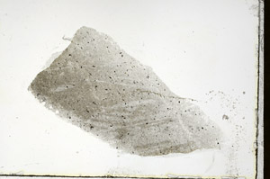 Plane Polarized, S89686