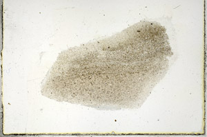 Plane Polarized, S89687