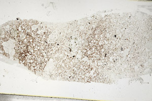 Plane Polarized, S89688