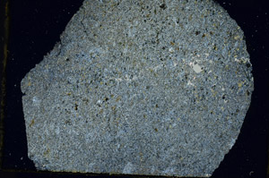 Cross Polarized, S89689