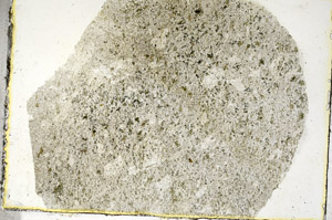 Plane Polarized, S89689