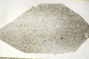 Plane Polarized, S89691