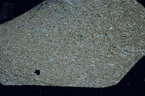 Cross Polarized, S89692
