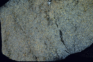 Cross Polarized, S89693