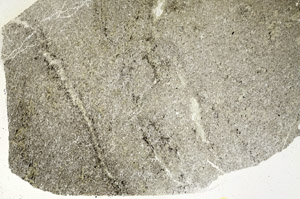 Plane Polarized, S89693