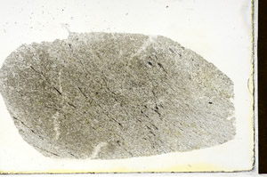 Plane Polarized, S89695
