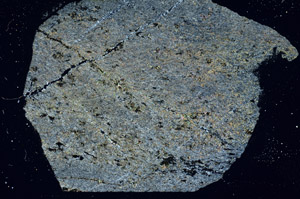 Cross Polarized, S89696